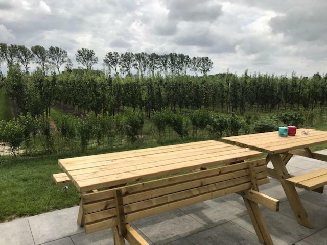 Hoeve Oude Tol Zuidzande Eksteriør bilde