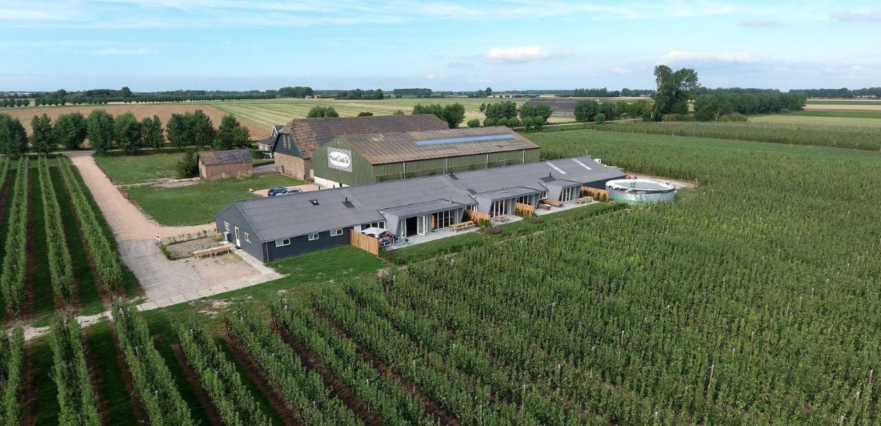 Hoeve Oude Tol Zuidzande Eksteriør bilde